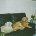 image0
