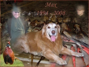 max poster