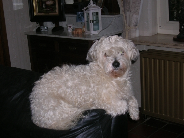 2008-2009 005