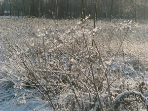 BILD0618