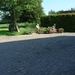 tuin 008