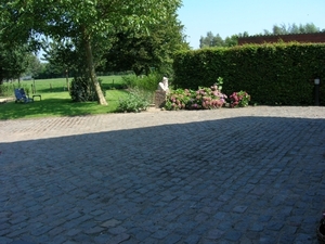 tuin 008