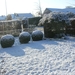 DSCN1170