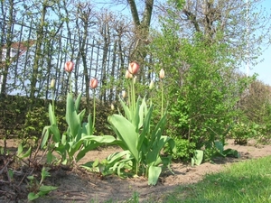 DSCN1179