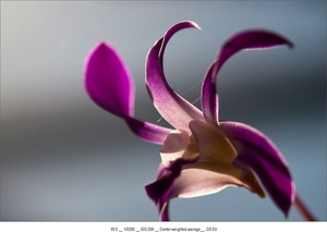 DSC_7224-2s