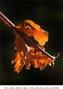 DSC_6147-3k