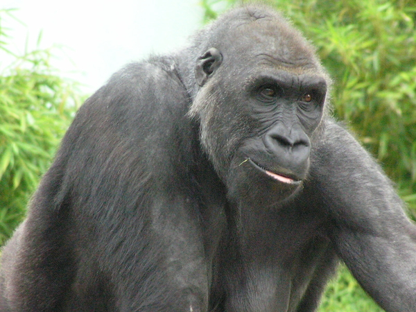 P7214628