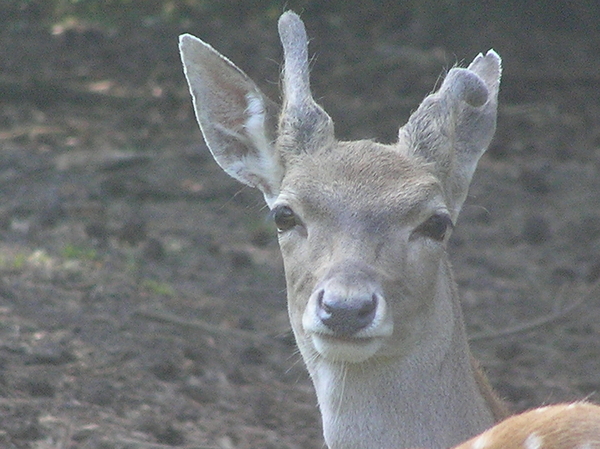 P9165980