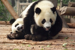 china-34