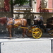 Sevilla Caballo