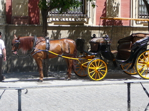 Sevilla Caballo