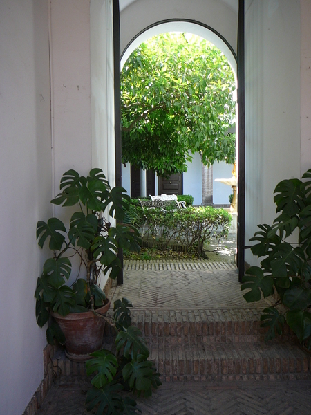 Sevilla Patio