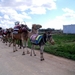 DSCF0067(1)