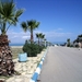 DSCF0126(1)