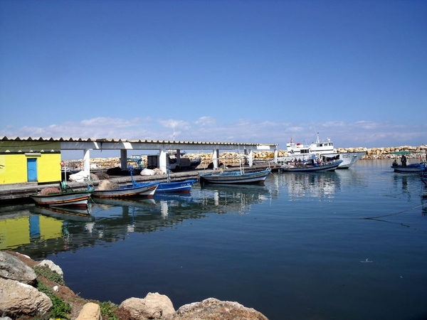 DSCF0134(1)