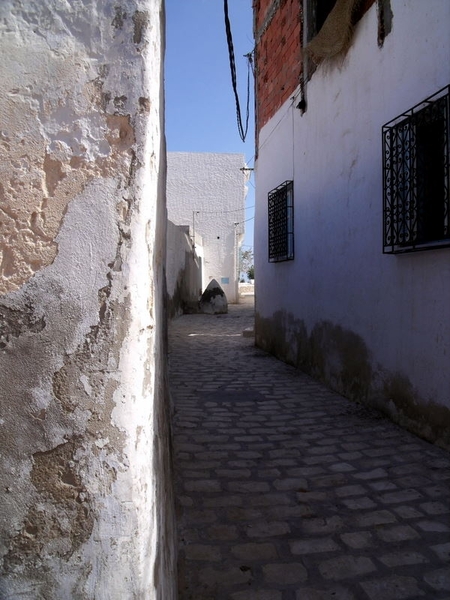 DSCF0144(1)
