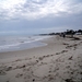 DSCF0150(1)