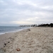 DSCF0151(1)