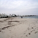 DSCF0156(1)