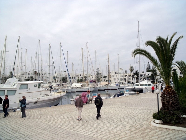 DSCF0167(1)