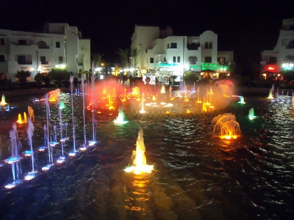 DSCF0247(1)