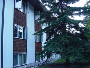 DSC04376