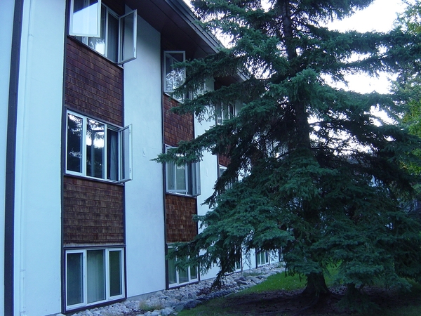 DSC04376