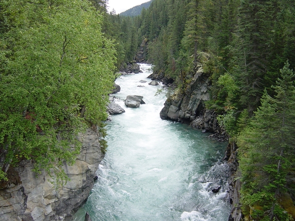 DSC04385
