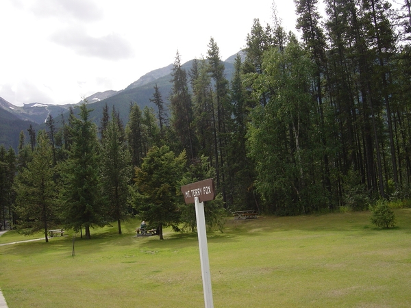 DSC04389