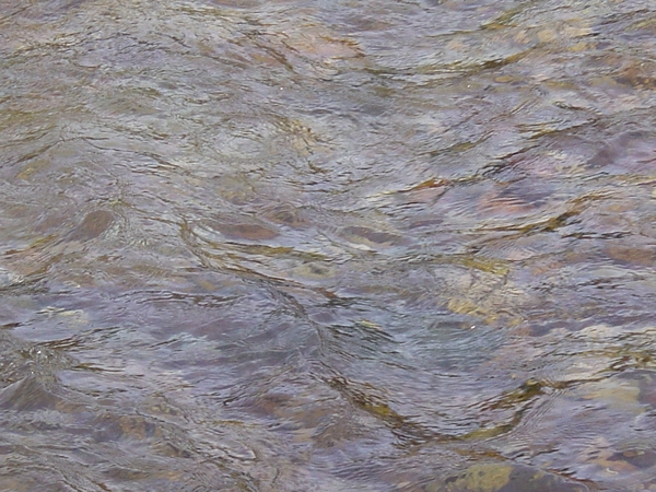 DSC04394