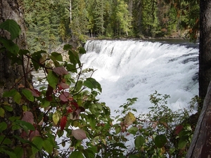 DSC04401