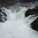 DSC04409