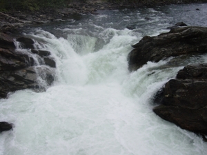 DSC04409