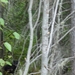 DSC04410