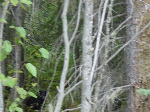 DSC04410