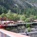 DSC04423