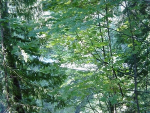 DSC04452