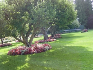 DSC04470