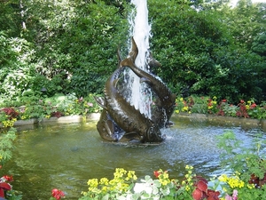 DSC04476