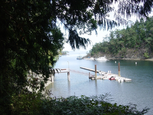 DSC04477