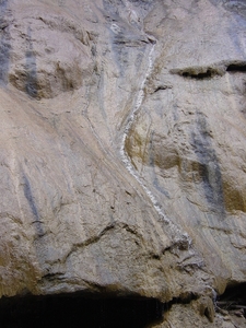 DSC04284