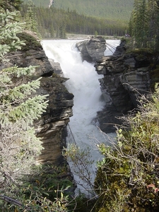 DSC04337