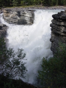 DSC04341