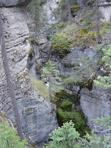 DSC04349