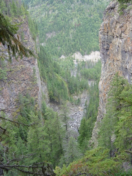 DSC04411