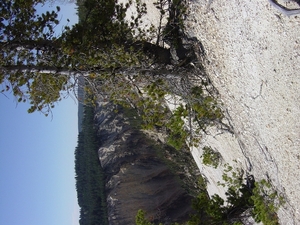 DSC04166