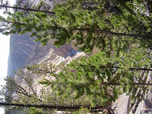 DSC04170
