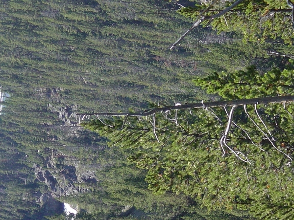 DSC04181