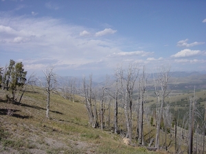 DSC04194