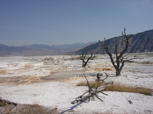 DSC04205